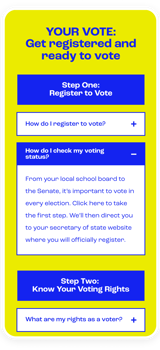 When We All Vote Your Vote